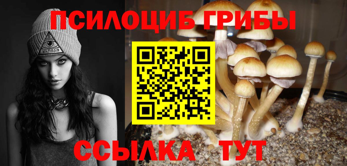 Псилоцибиновые грибы мицелий Прокопьевск